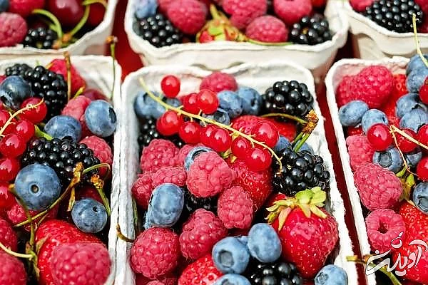 میوه های قرمز